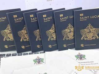 圣卢西亚被称为“小国护照”之王？